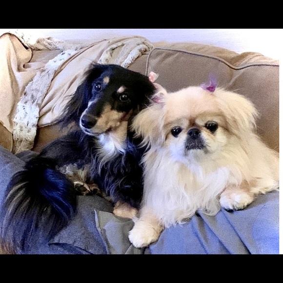 Meet your Posher, Kristi - Picture 8 of 11